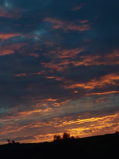 A landscape image of the sky at sunset in Petrevene, Bulgaria. The sky is a blend of dark blue and orange hues. Elongated clouds, illuminated by the setting sun, stretch across the frame. On the right edge, a dark silhouette suggests trees or foliage.