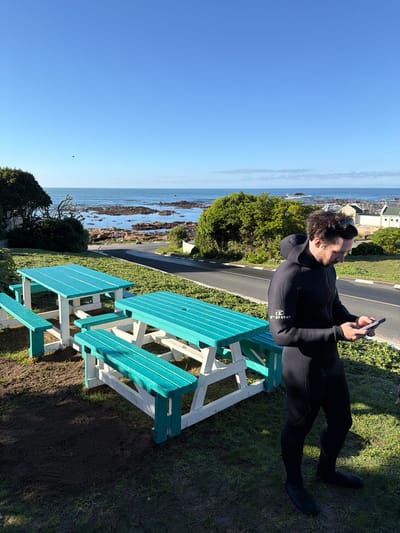 The image displays a coastal landscape under a bright, clear blue sky. In the foreground, a man dressed in a black wetsuit is seated on a turquoise and white painted wooden picnic bench. He has dark hair and a beard, with goggles or a mask resting on his head, suggesting he has recently been involved in or is preparing for a water sport. He is actively engaged with a smartphone held in his hands. The word "REUP" is visible on the left arm of his wetsuit.
The midground features a paved road or path that curves along the green grassy terrain, interspersed with bushes and trees. A yellow diamond-shaped road sign, indicating a sharp curve, is visible near the road. Beyond this, the background reveals a serene blue ocean with a rocky shoreline. Numerous boats or yachts are anchored or moving in the distance, pointing to the presence of a harbor or bay. Coastal buildings with white walls and dark roofs are also discernible along the distant landmass. The scene is illuminated by strong daylight, casting clear shadows. The overall impression is one of calm and relaxation in a picturesque coastal environment, consistent with the Overstrand Local Municipality in South Africa.