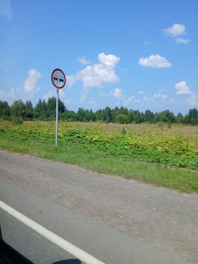 The image captures a roadside scene on a bright, sunny day with a clear blue sky and scattered white clouds. A traffic sign, depicting two cars with a red circle and slash, indicating "no overtaking," is prominently displayed on a metal pole on the right side of the frame. The sign is positioned in front of a lush green field bordered by a dense line of trees in the background. A paved road with a white lane marker runs along the bottom of the image. The scene appears to be in a rural or semi-rural area, likely in or near Pakli, Russia, given the context. There are no people visible in the image.