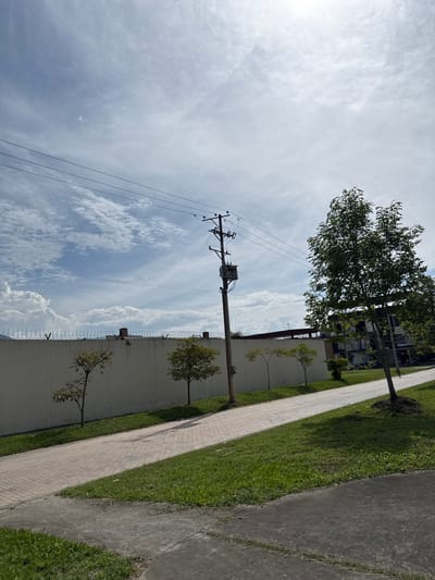 This image captures an outdoor scene in Pitalito, Colombia, under a bright, partly cloudy sky. The primary subjects include a long, light-colored concrete wall topped with razor wire or barbed wire, extending horizontally across the midground. Several small, leafy trees are planted in a strip of green grass along the base of this wall. Parallel to the wall, a light-colored paved pathway or sidewalk, constructed of interlocking pavers, runs from the foreground towards the background. To the right of this pathway is another expanse of manicured green grass.

In the center of the frame, a wooden utility pole stands tall, equipped with multiple cross-arms, insulators, and a prominent gray electrical transformer box. Overhead, several power lines extend horizontally across the sky. To the right of the utility pole and pathway, a larger, mature tree with dense green foliage casts a shadow on the grass. Partially visible behind this tree is a multi-story building with dark elements, possibly windows or balconies. In the immediate foreground, a darker, asphalt-like paved surface is visible, indicating another pathway or a road. No individuals or active interactions are present in the scene.