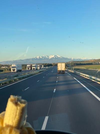 The image depicts a multi-lane highway scene, observed from the interior of a moving vehicle, likely within the geographical area of Salses-le-Château, France. A partially consumed, peeled banana is visible in the blurred lower-left foreground, indicative of a person present within the viewing vehicle. The highway consists of at least three visible lanes of travel, surfaced with dark asphalt and delineated by white dashed and solid lane markings. Long, diagonal shadows stretch across the roadway, consistent with a low sun angle.
Numerous heavy goods vehicles are present on the highway. A convoy of several white semi-trailer trucks occupies the far-left lane. Another white truck is situated in the middle lane. Ahead in the rightmost lane, a beige box truck travels forward. Metal guardrails line both the highway's shoulders and the median strip separating opposing directions of traffic.
In the mid-ground and background, the landscape unfolds under a clear, light blue sky. To the right of the highway, agricultural fields and rolling hills are visible. To the left, a cluster of buildings and infrastructure can be discerned in the distance. The horizon is dominated by a prominent range of snow-capped mountains, identifiable as the Pyrenees.