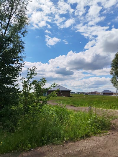 This is a photograph taken in Vorob'evo, Russia, depicting a rural or semi-rural landscape. The image is dominated by a bright blue sky with scattered white cumulus clouds. In the foreground, on the left side, is a large tree with dark green foliage, partially obscuring the view of the middle ground. A smaller tree with lighter green leaves is positioned in front of the larger tree. The ground in the immediate foreground is a dirt path with gravel.

The middle ground features a large, grassy field. A dirt road or path winds through the field, leading towards the background. A wooden building with a dark roof is visible in the middle ground, situated amongst the grass. Several other houses with pitched roofs are scattered throughout the background, suggesting a residential area. Electrical wires are strung across the scene in the middle distance. The overall environment appears to be a sunny, possibly summer day. There are no people or animals visible in the frame.