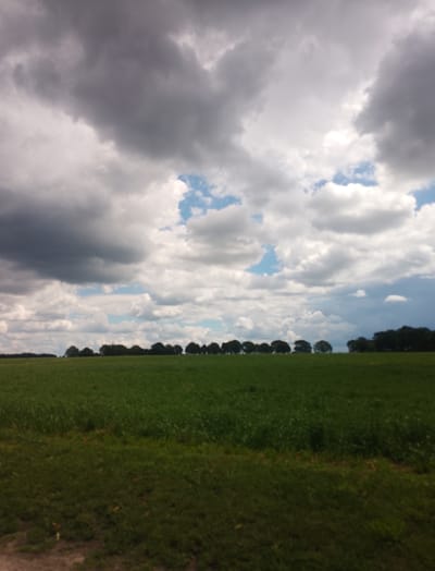 The image depicts a vast green field under a dramatic sky filled with dark, heavy clouds and patches of bright white clouds. A line of dark green trees forms a dense border along the horizon, separating the field from the sky. The field appears to be a cultivated area with a uniform green surface. The foreground shows a narrow strip of darker green grass, and at the very bottom edge, a hint of a dirt path is visible. There are no people, animals, or man-made structures clearly visible in the scene. The overall impression is one of a rural landscape on a cloudy day.