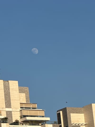 This image features a clear blue sky with a partial moon visible to the left of the frame. In the upper right corner and extending down the right side of the image are parts of a modern building with a stepped architectural design. The building's facade appears to be made of light-colored stone and grey accents, with some sections covered by cream-colored awnings or screens. A small bird is captured in flight against the sky, between the building and the moon. The lighting suggests it is daytime, likely late morning or afternoon, with the sun casting shadows on the building. The image appears to be taken from a low angle, looking upwards towards the sky and the upper portions of the building. No text is visible in the image. The setting is urban, given the presence of the large building.