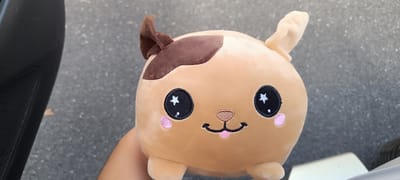 A tan-colored, round plush toy animal with brown ears and a brown patch on its head is being held by a person's hand in front of a gray, speckled surface. The toy has large black eyes with white star-shaped pupils, pink circular cheeks, and a smiling mouth with a pink tongue sticking out. The background appears to be asphalt. To the left of the toy, a dark gray, textured object, likely part of a car interior, is visible. The scene is outdoors.