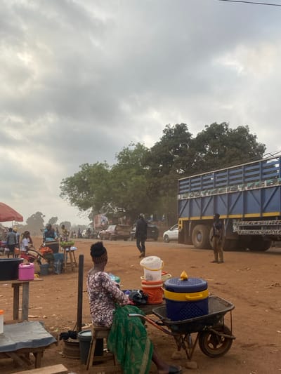 A busy outdoor market scene. A large blue truck with writing on its side sits next to a tree. People mill about in the background. In the foreground, a woman sits next to a wheelbarrow filled with buckets. Others sit at small tables along a dusty street. The sky is overcast. The overall atmosphere suggests a bustling, yet commonplace, daily life scene.