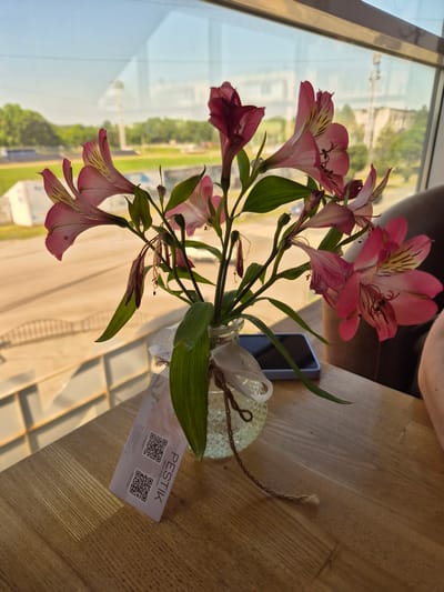 A vase of pink alstroemeria flowers sits on a wooden table next to a window. The flowers are in a clear glass vase with a twine tie. A phone is visible behind the vase. A card with QR codes and the word "PESTIK" is attached to the vase. The background shows trees and buildings, suggesting an outdoor setting. The image appears to be taken in Arseniev, Russia, as indicated by the text on the card.
