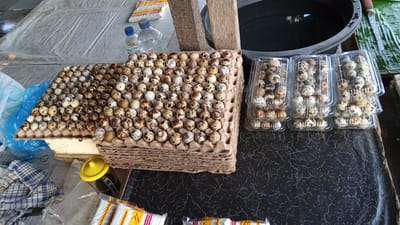 The image depicts an outdoor market stall, likely in Puloara, Indonesia, featuring an abundance of quail eggs. In the foreground, stacks of cardboard egg cartons are filled with speckled quail eggs. To the right, three clear plastic containers, also packed with quail eggs, are arranged on a dark, patterned surface. Behind the egg cartons, two plastic water bottles are visible, one with a blue cap and the other with a white cap. A blue plastic bag and a yellow-lidded container are also present. In the background, a large, dark, circular basin holds water, and a wooden beam suggests the structure of a market stall. The overall scene is of a food vendor preparing to sell fresh quail eggs.
