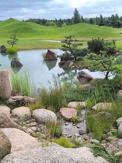 The image depicts a meticulously designed Japanese garden with rolling green hills in the background, a tranquil pond, and strategically placed rocks and vegetation. The foreground features a rocky landscape with various sizes of stones and tall, slender grasses. The pond's surface is calm, reflecting the overcast sky. Small, bonsai-like trees are visible near the water's edge. In the distance, a figure is seen standing atop one of the grassy mounds. The overall impression is one of serenity and natural beauty, characteristic of a carefully curated garden. The location is identified as being in Mažučiai, Lithuania.