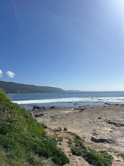 This image depicts a coastal landscape within the Wollongong City Council area, Australia, under a clear blue sky with bright sunlight. The foreground on the left consists of a vegetated slope covered with dense green grasses and shrubs, interspersed with patches of exposed sandy earth. The midground presents a rocky intertidal zone featuring dark, weathered rock platforms and shallow tidal pools, leading into the ocean. White-capped waves are actively breaking and rolling towards the shore. At least five individuals are visible in the ocean, engaged in water sports, primarily surfing or bodyboarding; one individual is standing on a surfboard, facing right. The background is characterized by a long, green, tree-covered mountain range, the Illawarra Escarpment, situated on the left, with scattered residential buildings visible at its base along the coastline. Distant landmasses or headlands are discernible on the far right horizon, fading into the atmospheric haze.
