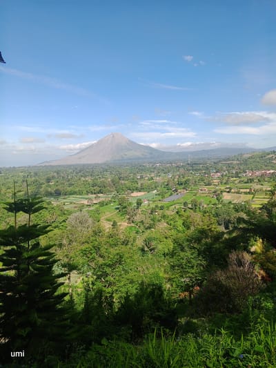 The image captures a scenic view from Gundaling 2, Indonesia, featuring a prominent volcano in the distance under a clear blue sky with scattered clouds. In the foreground, lush green trees and vegetation dominate, with a large conifer tree on the left side. The mid-ground reveals a valley with cultivated fields, homes, and a winding road, suggesting a rural or semi-rural residential area. The overall scene is tranquil and showcases a natural landscape with human habitation. The word "umi" is visible in the bottom left corner of the image.