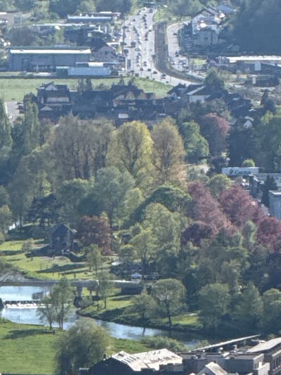 This high-angle, aerial view depicts a scenic section of what appears to be a European town, likely Diekirch, Luxembourg. The image is rich with a mix of natural elements and urban development, seen under bright daylight.
In the upper-left quadrant, a prominent feature is a large cemetery with numerous headstones neatly arranged along a curved road. Several buildings, possibly including a church or chapel, are situated adjacent to this cemetery. Cars are visible parked along the road.
The central and mid-left areas are characterized by a dense expanse of trees, showcasing a variety of green hues and some sections with reddish-brown foliage, hinting at different tree species or seasonal changes. Peeking through the tree cover are the rooftops of various buildings, suggesting residential or smaller commercial structures.
Towards the right side and extending to the lower-right, a calm river, likely the Sauer River, gracefully winds through the landscape. Its tranquil surface reflects the bright sky, and its banks are lined with lush green grass and more trees. Along the far right edge of the image, several multi-story buildings with distinct architectural features are visible, hinting at a more developed riverside area.
The overall scene is well-lit by natural sunlight, casting soft shadows and indicating clear weather conditions. There are no discernible people or specific activities taking place, and no visible text. The perspective offers a comprehensive overview of the town's blend of natural beauty and human habitation.