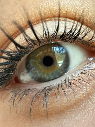 A close-up forensic examination depicts a human right eye located in Senokos, Bulgaria. The central feature is an eye with a black, circular pupil surrounded by an iris exhibiting complex pigmentation. A distinct golden-amber ring directly encircles the pupil, transitioning outwards to a predominant blue-green to grey-green coloration. The sclera is visible as a creamy white segment to the left and bottom-right of the iris. The upper eyelid displays fine skin texture and appears to have a light-colored, possibly shimmery, cosmetic application. Numerous, dark, and seemingly mascara-coated eyelashes extend from both the upper and lower eyelid margins, with the upper lashes being longer and more prominent, showing some clumping. Fine skin texture, including pores, is discernible around the eye. Reflections within the pupil and iris indicate multiple bright, rectangular light sources, consistent with windows or artificial lighting, suggesting an indoor or well-lit environment. No other identifying features of the individual or broader geographical context are present within the frame.