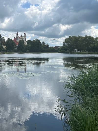 The image captures a serene view of Lake Jursheviskoye in Iwye, Belarus, on a cloudy day. In the background, a prominent church with red roofs and white spires stands tall amidst lush green trees. The lake's surface is calm, reflecting the sky and the surrounding scenery, with scattered lily pads dotting its expanse. Tall reeds and grasses grow along the right bank, adding a natural texture to the foreground. A bird is seen in flight in the upper right portion of the frame. The scene conveys a peaceful and picturesque atmosphere.
