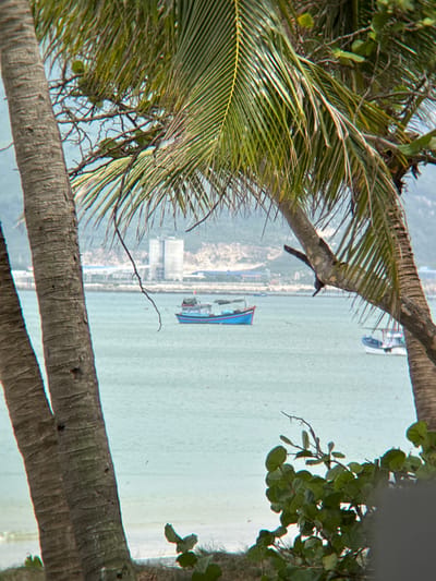 The image depicts a serene coastal scene in Dong Ninh Hoa, Vietnam. In the foreground, the textured trunks of two palm trees frame the view, their fronds obscuring parts of the sky and distant landscape. Beyond the palm trees, the turquoise waters of the sea stretch out, dotted with a few small boats. A larger blue and red boat is prominently featured in the middle ground, its deck visible. In the distance, a coastline is visible with industrial buildings, including silos, and a hilly terrain behind them. The overall atmosphere is one of tranquility and a glimpse into coastal life.