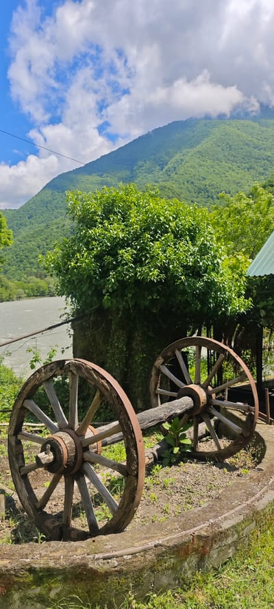 This vertical image captures a tranquil natural landscape in Bzypta, Abkhazia, on a bright, partly cloudy day. In the foreground, two weathered wooden wagon wheels with rusty metal rims and spokes are prominently displayed, connected by a rustic wooden axle. They rest on a patch of grass and dirt beside a low concrete wall.

Behind the wheels, a large, dense, and vibrant green bush dominates the mid-ground, its foliage rich and leafy. To the left of the bush, a calm, grey river flows, reflecting the muted light. The river runs along the base of a magnificent, verdant mountain that stretches across the background, its slopes entirely covered in lush green trees under a bright blue sky dotted with fluffy white clouds. A thin power line or cable is visible stretching horizontally across the upper portion of the sky. On the far right, a small corner of a green corrugated roof can be seen, hinting at nearby structures. The scene conveys a sense of rustic charm and natural beauty, with no human activity taking place. There is no visible text.