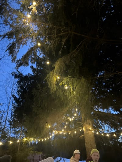 This image depicts an outdoor scene in Lesnoy, Russia, at twilight or during evening hours. The foreground and midground are dominated by several conifer trees, whose branches are adorned with multiple strands of illuminated, warm-toned spherical string lights. The sky above is a dark blue. Snow covers the ground, visible in the lower portion of the image, extending towards a background featuring additional trees, some appearing deciduous and bare. Two individuals are partially visible in the lower right quadrant. One person wears a light-colored baseball cap and a light-colored jacket, with their head turned towards the right side of the frame. The second individual, positioned to the right and slightly closer, wears a bright yellow beanie and a dark jacket with red detailing. This person's mouth is open, and their gaze is directed generally forward.
