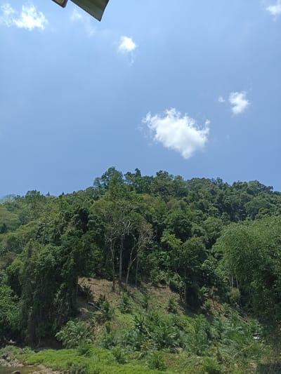 The image shows a lush, green landscape in Tambon Song Phraek, Thailand. A dense forest covers a hillside, with a variety of trees and vegetation. In the foreground, there's a grassy area with smaller plants and what appears to be a riverbank. The sky is blue with a few white clouds. Part of a rooftop is visible at the very top of the frame.