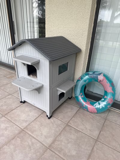An outdoor patio scene in Boca Raton, United States features a two-story grey plastic cat house with grey sloped roof and attached platforms. A teal inflatable swim ring with a marine life print, including whales, octopuses, and coral, lies on the tiled ground to the right of the cat house. The background shows a textured beige wall and a large window with vertical blinds.