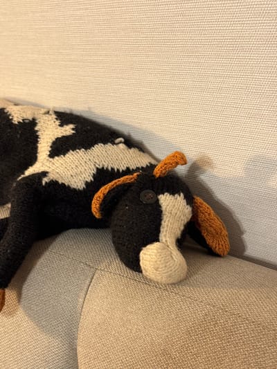 This image depicts a knitted plush toy, resembling a black and white cow or dog, resting on an upholstered furniture surface within a residential setting in Zelenogradskiy, Russia. The toy features a predominantly black body with irregular white patches, knitted orange-brown floppy ears, a beige/off-white snout, and a single visible black four-hole button eye. The toy is oriented with its head towards the right side of the frame. It rests on a light beige or grey upholstered cushion, which displays a distinct woven fabric pattern and a horizontal seam. Behind the furniture, a light-colored wall with a subtle textured wallpaper or finish is visible. The scene is illuminated by ambient light, casting soft shadows beneath the toy.