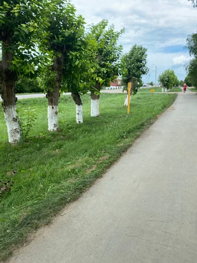 The image depicts a pathway adjacent to a grassy area with trees. A person in a red garment is walking away from the camera on the pathway in the distance. A row of trees with whitewashed bases runs along the left side of the pathway. Beyond the trees, a road with cars and buildings can be seen. The sky is cloudy. The scene appears to be in Akyar, Russia.