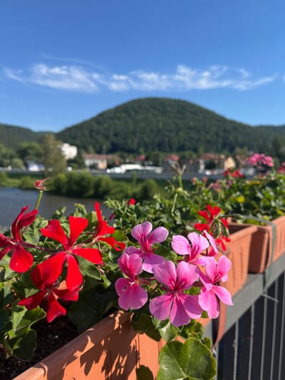 The image is a close-up shot of red and pink geraniums blooming in a terracotta planter. The planter is positioned outdoors, with a blurred background showing a lush green hillside, a body of water, and some buildings. The sky is a clear blue with a few wispy white clouds. The sunlight suggests it is daytime, likely late morning or afternoon, given the shadows cast on the planter. The focus is on the vibrant flowers, with the natural landscape providing a scenic backdrop. The overall mood is peaceful and serene, highlighting the beauty of nature. There is no visible text in the image. The setting appears to be a scenic overlook or balcony, possibly in Banská Bystrica, Slovakia, given the context provided.
