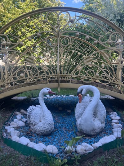 This image shows a decorative garden scene featuring two white swan statues situated beneath a golden, ornate archway. The swans are positioned on a bed of blue gravel, bordered by white stones and green decorative edging. Lush green trees and foliage form the background, with a clear sky visible through the archway. The scene appears to be an outdoor decoration in a park or private garden setting. There is no indication of the specific location within the Dubăsari town council, Moldova. The image captures a static, decorative arrangement.