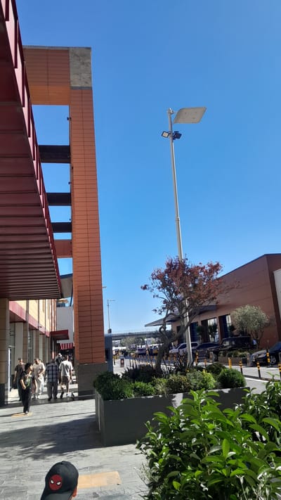 The image depicts an outdoor scene in the city of Bayrampaşa, Turkey. A pedestrian walkway with a patterned stone surface runs along the foreground, with a large dark gray planter box filled with various green plants situated to the right. In the background, several people are walking on the walkway, some dressed casually. A red-bricked building with a covered walkway extends from the left side of the image. Further back, there are more buildings, a street with parked cars, and a street light with a solar panel. The sky is clear and blue. The overall impression is of a well-lit, modern urban environment.