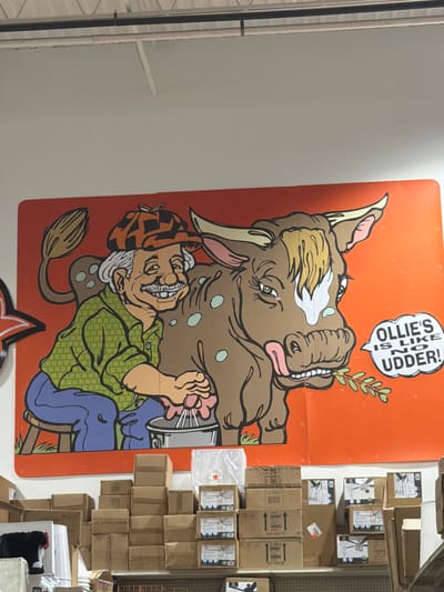 This is a photograph of a large, vibrant mural or banner on an orange background, depicting a cartoonish scene with a bull and a man. The bull, drawn in a brown and tan color palette with pink accents and green eyes, appears to be in mid-stride, with its head turned towards the viewer. A sprig of leaves is held in its mouth. Above the bull's head, a speech bubble contains the text "OLLIE'S IS LIKE NO UDDER!".
Below the bull is a caricature of an elderly man with a wide, toothy grin, wearing a green checkered shirt and blue pants. He has a white beard and is wearing a patterned cap. He is shown with one leg raised, as if dancing or kicking. The overall style is reminiscent of old-school political cartoons or humorous illustrations.
To the right of the mural, a wall is stacked with numerous cardboard boxes of various sizes, suggesting a retail or storage environment. Some boxes have labels or images printed on them, including what appears to be a fan or similar item. The lighting suggests an indoor setting, possibly during daylight hours. The context of Elizabeth City, USA, provides a geographical location for this scene.