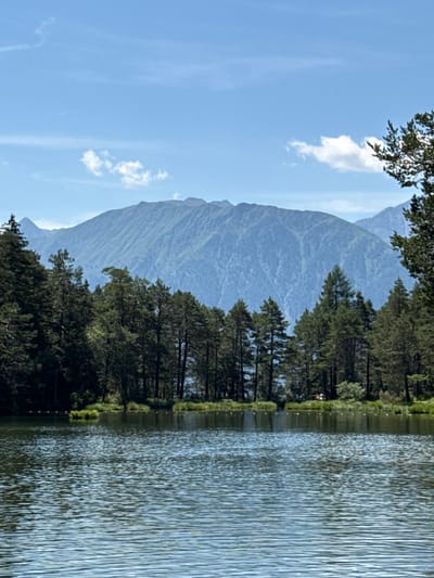 The image depicts a serene lake scene with a lush forest bordering its edge. In the background, majestic mountains rise, their slopes textured with vegetation. The sky above is a clear blue, dotted with a few wispy white clouds. The water's surface is rippled, reflecting the surrounding landscape and the sky. In the distance, the larger mountain range appears hazy, suggesting a significant distance. The foreground is dominated by the lake and its gentle waves. The trees are densely packed, forming a natural barrier along the lake's perimeter, with some individual trees taller than others. Small buoys are visible in the water near the shore, possibly marking a swimming area. A very faint structure or possibly people are visible on the far bank, nestled amongst the greenery. The overall impression is one of natural beauty and tranquility. The image appears to be taken on a sunny day, characteristic of a summer or late spring season. The location is the Telfs lake in Telfs, Austria.