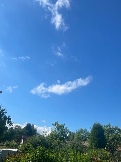 A clear blue sky is visible, with a few scattered white clouds. On the right side of the image, lush green trees and foliage are abundant, with a glimpse of a small, rustic wooden structure nestled among the greenery. The sun appears to be shining brightly, suggesting it is daytime. The overall scene evokes a sense of a peaceful, rural setting, possibly a garden or a backyard in a suburban or countryside location. The presence of trees and vegetation indicates a natural environment. There is no visible text in the image.