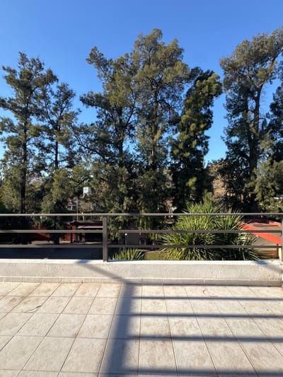 The image captures an outdoor scene with a clear blue sky and tall evergreen trees. In the foreground, a tiled wall and a metal railing are visible. The railing casts shadows on the wall, indicating it is daytime, likely morning or afternoon due to the angle of the sun. The greenery of the trees and some spiky plants suggest a warm climate. The wall appears to be part of a building's exterior, possibly a balcony or patio. There is no discernible activity taking place, and no people are visible. The overall impression is one of a calm, sunny day in a location with abundant vegetation. The presence of tiled walls and railings could suggest a residential or public space. The specific mention of Ezeiza, Argentina, places this scene in a South American context. No text is visible in the image.