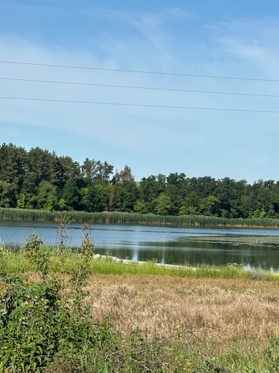This image depicts a serene natural landscape in Khlypnivka, Ukraine. In the foreground, there is a field of dry, golden grass and green foliage. Beyond this, a calm body of water stretches across the frame, reflecting the blue sky above. The far bank of the water is lined with dense green trees, forming a lush forest. Three parallel power lines traverse the upper portion of the image against a clear blue sky. The scene is tranquil and untouched, evoking a sense of natural beauty. There are no people or animals visible.