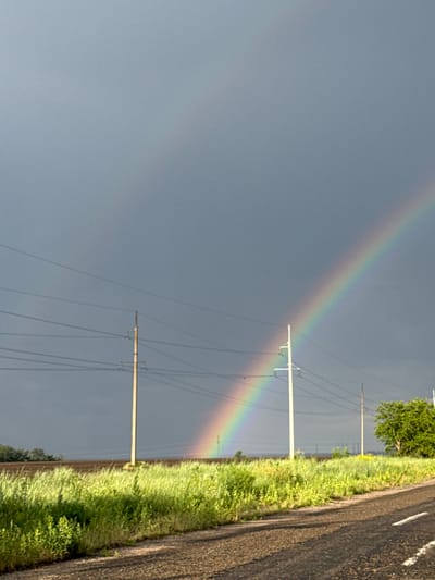 The image depicts a rural landscape under a dramatic, overcast sky. A vibrant rainbow arches across the frame, its colors clearly visible against the dark gray clouds. In the foreground, a dirt road runs along the right side of the image, bordered by lush green grass and vegetation. Several utility poles with power lines stretch across the scene, contributing to the sense of a rural or semi-rural setting. In the distance, fields of crops can be seen, and a solitary green tree stands on the right side of the frame. The overall impression is one of natural beauty and the aftermath of a storm. The location is identified as Karachunivka, Ukraine.