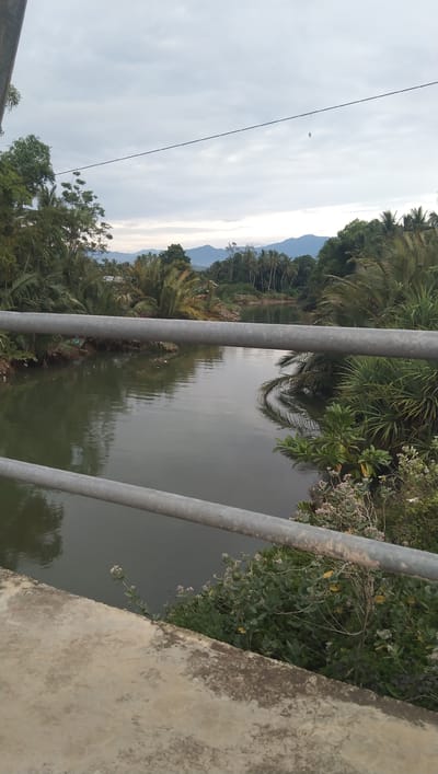 The image captures a scenic view of a river bordered by lush greenery and distant mountains, under a cloudy sky. In the foreground, a concrete structure with two metal railings suggests a bridge or walkway. The river itself is calm and reflects the overcast sky and surrounding vegetation. On the banks of the river, palm trees and other tropical plants are abundant, with some appearing to be leaning over the water. The mountainous landscape in the background is shrouded in a soft haze. The overall atmosphere is serene and natural, hinting at a tranquil environment. The scene is located in the area of Deah Pangwa, Indonesia.