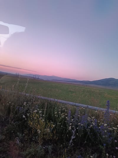The image captures a pastoral landscape at dusk near Yernjatap, Armenia. The sky transitions from a soft pink hue near the horizon to a muted blue overhead, indicating the setting sun. In the foreground, a variety of wildflowers, including clusters of white blossoms and tall purple spikes, grow along a rough, grassy embankment. A grey, cylindrical pipe runs horizontally across the middle ground, partially obscured by the vegetation. Beyond this, a rolling green field stretches into the distance, dotted with scattered yellow wildflowers. Further back, several power transmission towers stand on hills, silhouetted against the fading light. The distant horizon is marked by the soft outlines of mountains. A faint reflection, possibly from a vehicle window, is visible in the upper left corner of the image.