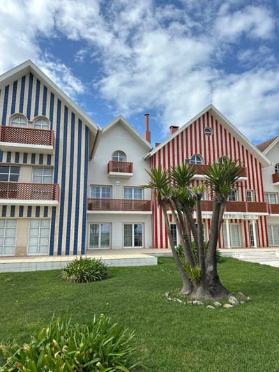 This image depicts a cluster of multi-story buildings, characterized by their distinctive striped facades, set against a partially cloudy blue sky, located in Ílhavo, Portugal. The prominent building on the left features vertical blue and white stripes on its gabled facade, equipped with multiple levels of windows and two balconies with ornate reddish-brown railings. Adjacent to it, a white building with a pitched roof displays similar window arrangements and two balconies. To the right, another gabled building exhibits vertical red and white stripes and also includes multiple windows and balconies with reddish-brown railings. Red-colored chimneys are visible rising from the roofs of the central and rightmost buildings. In the foreground, a manicured green lawn occupies the lower half of the frame. A multi-trunked plant, likely a Yucca species, with green, spiky foliage, stands prominently on the lawn, its base encircled by small rocks. Further small clumps of green foliage are scattered across the grass closer to the viewer. A light-colored tiled patio or pathway runs along the base of the buildings, separating them from the lawn. The overall scene is brightly illuminated, indicating daylight.