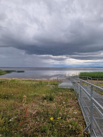 The image shows a metal walkway leading to a body of water, likely a lake, under a cloudy sky. The walkway is made of grated metal and has railings. It is situated on a slightly overgrown bank with grass and small yellow and white wildflowers. In the distance, the water stretches to the horizon, with reeds visible along the shoreline. The sky is filled with dark, dramatic clouds, suggesting impending rain or a storm. The location is identified as Īdeņa, Latvia. There are no people or animals visible in the image. The scene is natural and serene, with the man-made walkway providing access to the water.