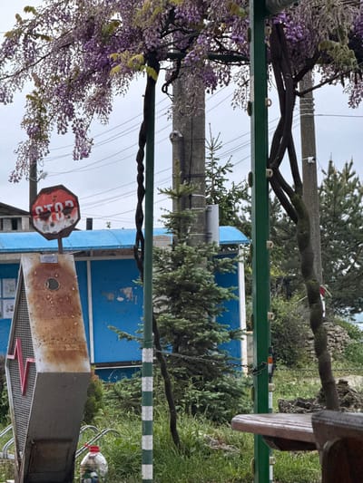 The image depicts a scene in General Kantardjievo, Bulgaria. A weathered STOP sign riddled with holes stands near a blue building with peeling paint. A rusty metal box with a circular hole is next to the sign. Wisteria blooms hang from an overhead structure. Power lines are visible in the background, along with coniferous trees and vegetation. A green metal bar with alternating white and green squares is also present in the foreground. A wooden table leg is visible on the right side of the frame.