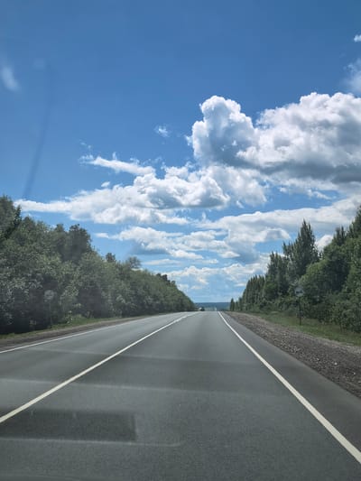 This is a ground-level, eye-level, forward-facing shot of a two-lane asphalt road stretching into the distance. The road is bordered by dense green trees on both sides, with a clear blue sky dotted with fluffy white clouds above. There are white lane markings on the road. There is a single dark-colored car visible in the far distance, heading in the same direction as the camera. Two circular road signs, one on each side of the road, are visible in the mid-ground; the left sign appears to have two animal figures on it, while the right sign depicts two cars with a diagonal line through them, indicating "no overtaking." The scene appears to be a rural or suburban highway, possibly on the outskirts of Vozrozhdenie, Russia, given the vegetation and road conditions. The overall impression is one of travel on a clear, sunny day.