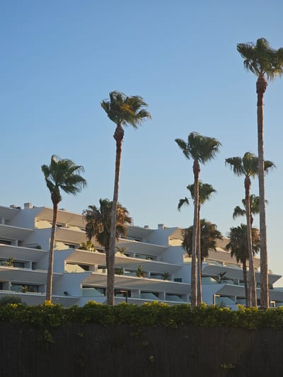 The image depicts a modern, multi-story white building with staggered balconies, set against a clear blue sky. Several tall palm trees stand in front of the building, their fronds rustling in what appears to be a gentle breeze. A dense hedge runs along the foreground, partially obscuring a textured fence below it. The lighting suggests it is either early morning or late afternoon, with the sun casting warm highlights on the building and trees. The scene is tranquil and appears to be located in a coastal or resort area, consistent with the city of Deveses, Spain, known for its beaches and Mediterranean architecture. No people are visible in the image.