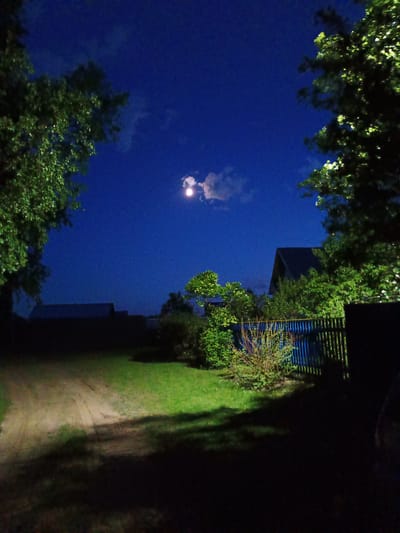 The image depicts an outdoor scene in Verkhnii Dvor, Russia, at night. A dirt road leads into the scene, flanked by green grass. Trees with green foliage are visible on both sides of the road. A blue wooden fence separates the foreground from the background. Behind the fence, several buildings are present. The sky is dark blue with a few scattered clouds, and a bright moon is visible. The image is illuminated by the moon and possibly some artificial lighting, creating shadows.