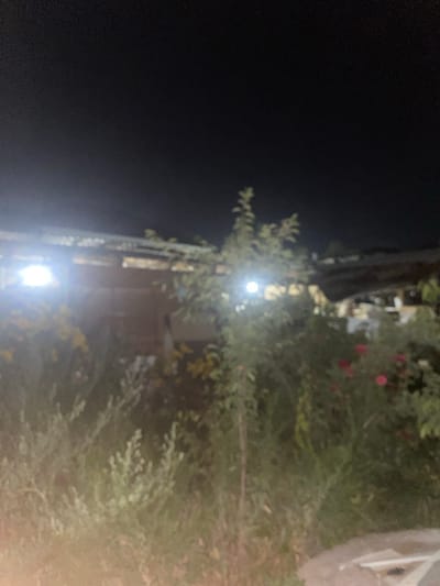 The image depicts an outdoor scene at night in Кедей-Арык, Kyrgyzstan. The foreground is filled with dense vegetation, including shrubs and some blooming flowers, with red and yellow hues visible. Two bright artificial lights illuminate the scene from the left and center, casting a glow on the foliage and a structure in the background. The structure appears to be a building with a roof, possibly a house or shed, made of wood and metal. The overall ambiance is dark, characteristic of nighttime, with a clear sky above. No people or animals are visible in the image.