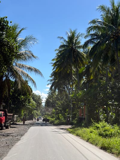 A road lined with tropical trees, likely palm trees, extends into the distance. The road itself is paved and appears to be in a rural area, judging by the surrounding vegetation. A red truck is partially visible on the lower right, suggesting some activity or traffic on the road. The sky is clear blue, indicating a sunny day. The location is likely the city of Apitaik, Indonesia, based on the user's prompt.