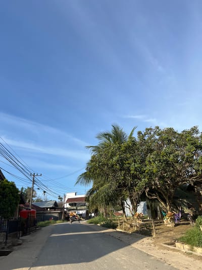 The image depicts a rural street scene in Landuh, Indonesia, under a bright, clear blue sky with wispy clouds. On the left side of the paved road, a black metal fence encloses a property with a large red water tank and lush green foliage. Further down the street, residential buildings with corrugated metal roofs are visible, interspersed with trees and utility poles supporting a complex network of electrical wires.
In the center of the frame, a motorcycle with a sidecar is moving away from the camera. Two individuals are seated on the motorcycle, one driving and the other in the sidecar. The road surface appears worn and has shadows cast upon it.
To the right of the road, several large trees with dense green canopies dominate the scene, casting shade. Some of these trees have visible trunks and branches. In front of the trees, a yard area is visible with potted plants, some plastic chairs, and a bicycle leaning against a structure. The ground in this area is a mixture of dirt and sparse vegetation. The overall environment suggests a tropical or subtropical climate.