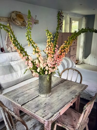 This image captures a serene indoor scene with a rustic, shabby chic aesthetic, likely set in Ros Na Rí, Ireland. The photograph, presented rotated from its original orientation, centers on a bountiful bouquet of pink and peach foxgloves arranged in a weathered, cylindrical metal vase.

The vase rests on a distressed wooden table, painted in a chipped light grey or white, revealing hints of natural wood underneath. Around the table are several vintage-style wooden chairs, similarly aged with peeling paint. One chair features a distinctive curved, rusty metal backrest, adding to the antique charm.

In the background, a window with white frames allows abundant natural light to stream into the room, illuminating hints of green foliage outdoors and suggesting it is daytime. The interior walls are painted a light, subtle blue-grey. Adjacent to the table, a bed or cushioned seating area is visible, covered with a light-colored fabric featuring soft vertical stripes. Another patterned fabric is draped nearby.

To the left of the frame, a rustic wooden wall fixture holds decorative elements, including a piece of striped fabric and a small, light-colored woven item, possibly a miniature hat or decorative basket, with another patterned fabric hanging below.

The scene evokes a sense of tranquility and homely comfort. There is no active event taking place, presenting a peaceful still life or interior shot. No visible text is present in the image.