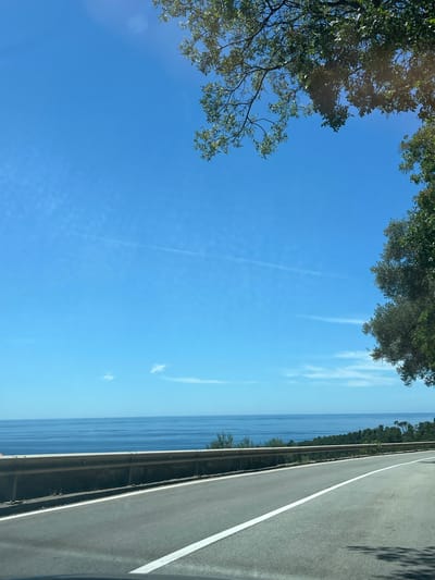 The image depicts a scenic coastal road with the sea and a clear blue sky. The road curves to the right, with a white line marking the lane. A metal guardrail separates the road from a steep drop-off overlooking the ocean. Lush green trees and foliage line the edge of the road and frame the upper portion of the image. The ocean stretches to the horizon, meeting the bright blue sky. The scene is bathed in sunlight, suggesting a clear and warm day. There are no people or vehicles visible in the image, and no specific landmarks that would indicate it is in Nerin, Montenegro.