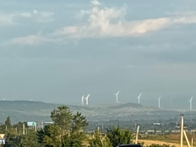 The image depicts a hazy, panoramic view of a landscape dotted with wind turbines. The sky is overcast with soft, diffused clouds, suggesting a possibly humid or misty atmosphere. The time of day appears to be either early morning or late afternoon, given the soft lighting and muted colors.
The foreground features a dense cluster of trees, some of which are quite tall and leafy, obscuring part of the view. A road or pathway is visible in the lower left corner, with traffic lights and a sign. Beyond the trees, a rolling landscape unfolds, with hills and valleys that are softened by the atmospheric haze.
Scattered across the middle ground and background are numerous wind turbines, their white structures stark against the muted tones of the hills and sky. Some turbines are closer and more distinct, while others are more distant and appear as faint outlines. The turbines are arranged in a scattered pattern, suggesting a wind farm spread across the undulating terrain.
In the far distance, the horizon is barely discernible due to the haze. The overall impression is one of a vast, somewhat rural or industrial landscape, with the wind turbines being the most prominent man-made features. There is no discernible human activity or emotional tone conveyed by the image. No visible text is legible in the image.