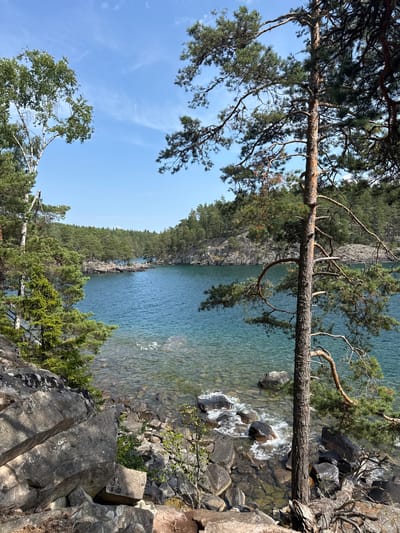This is a medium shot photograph taken from a rocky, wooded shoreline looking out onto a clear blue lake or sea. The foreground is dominated by large, gray rocks and dense green foliage, including evergreen trees and a birch tree. A tall pine tree with prominent branches stands in the right foreground. The water is calm with small waves lapping at the rocky shore. In the middle ground, across the water, is a rocky island or peninsula dotted with numerous people sunbathing and standing. The background features a dense, green forest stretching across a hilly coastline under a bright blue sky with wispy white clouds. The scene appears to be a natural, recreational area, possibly a lake or archipelago location. The general style suggests a scenic landscape photograph taken on a sunny day.