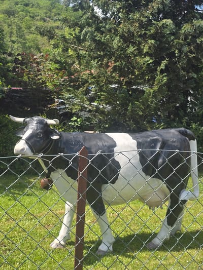 The scene depicts a life-sized, black and white Holstein-Friesian cow statue situated behind a chain-link fence on a patch of green grass. The location is in the city of Oberndorf, Germany. The statue features realistic details including prominent horns, large dark eyes, a halter or rope around its muzzle, and a dark brown bell hanging from its neck. An udder is visible, indicating a female cow. The statue displays some light-colored speckles on its black areas. The galvanized steel chain-link fence, characterized by its diamond-shaped mesh, runs horizontally across the mid-ground. A vertical, rusted reddish-brown metal post supports the fence on the right side of the image. Beyond the fence and the statue, a lush green background consists of various trees and bushes, some with darker green needles or leaves, and others displaying reddish-brown foliage. In the upper left background, a densely forested hillside rises under bright daylight, casting distinct shadows and highlighting the various shades of green. No individuals or active elements are present in the image.